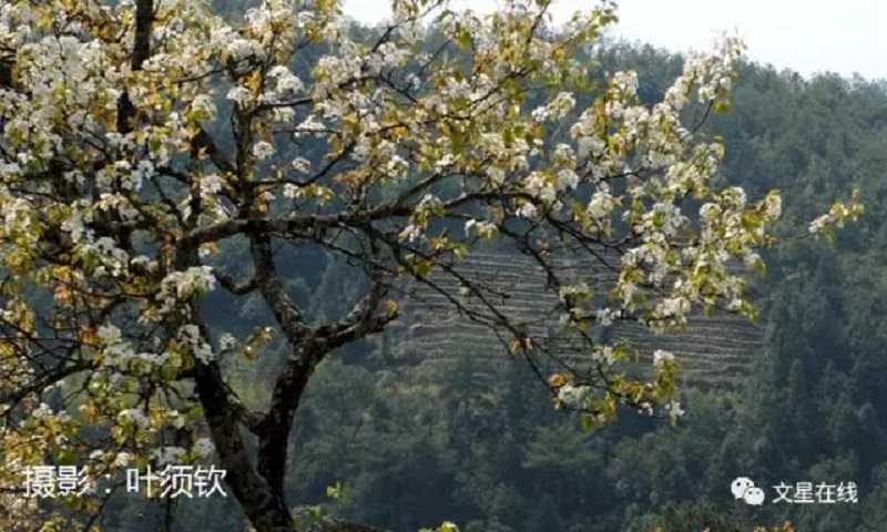 微信圖片_20230221204445.jpg