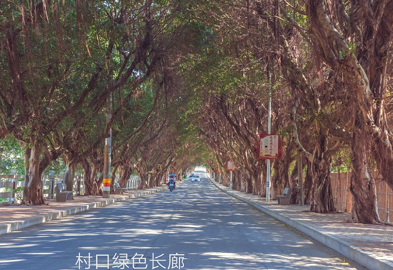 微信圖片_20240608204800.jpg