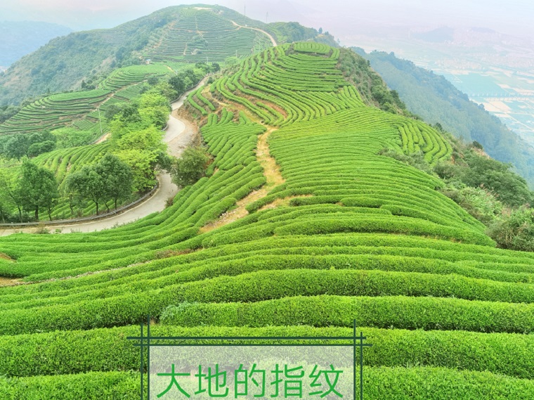 微信圖片_20240702173013.jpg