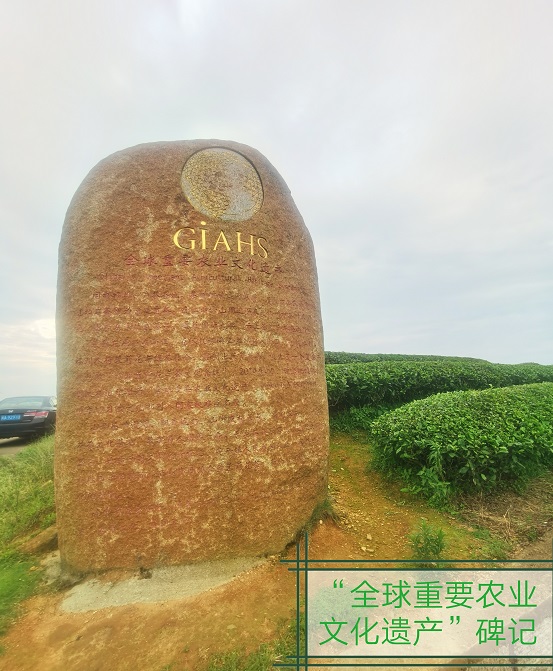 微信圖片_20240702172957.jpg
