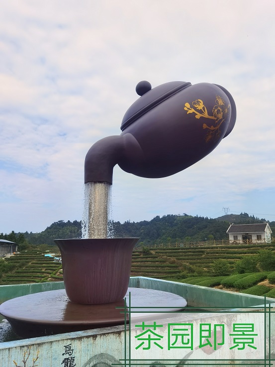 微信圖片_20240702172937.jpg