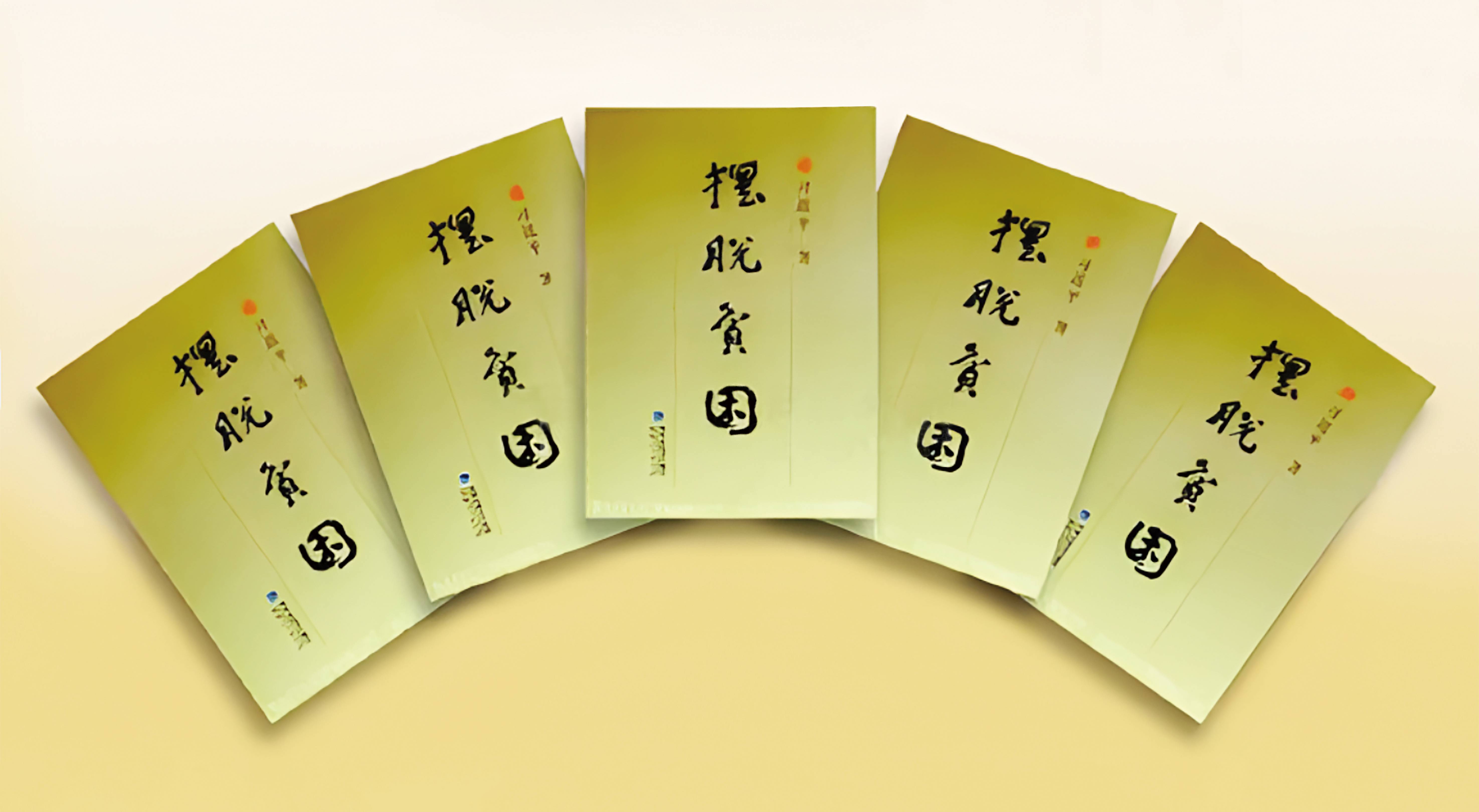 《擺脫貧困》1992年首版書影(1).jpg
