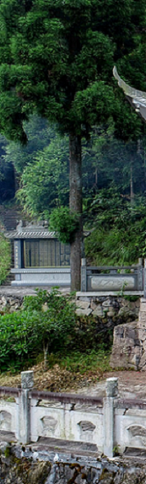 圖片.png11.png54.png